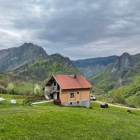 Hotel Family Owned Self Sufficient Eco Farm Tara Pljevlja Esterno foto