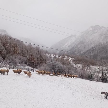 Hotel Family Owned Self Sufficient Eco Farm Tara Pljevlja Esterno foto