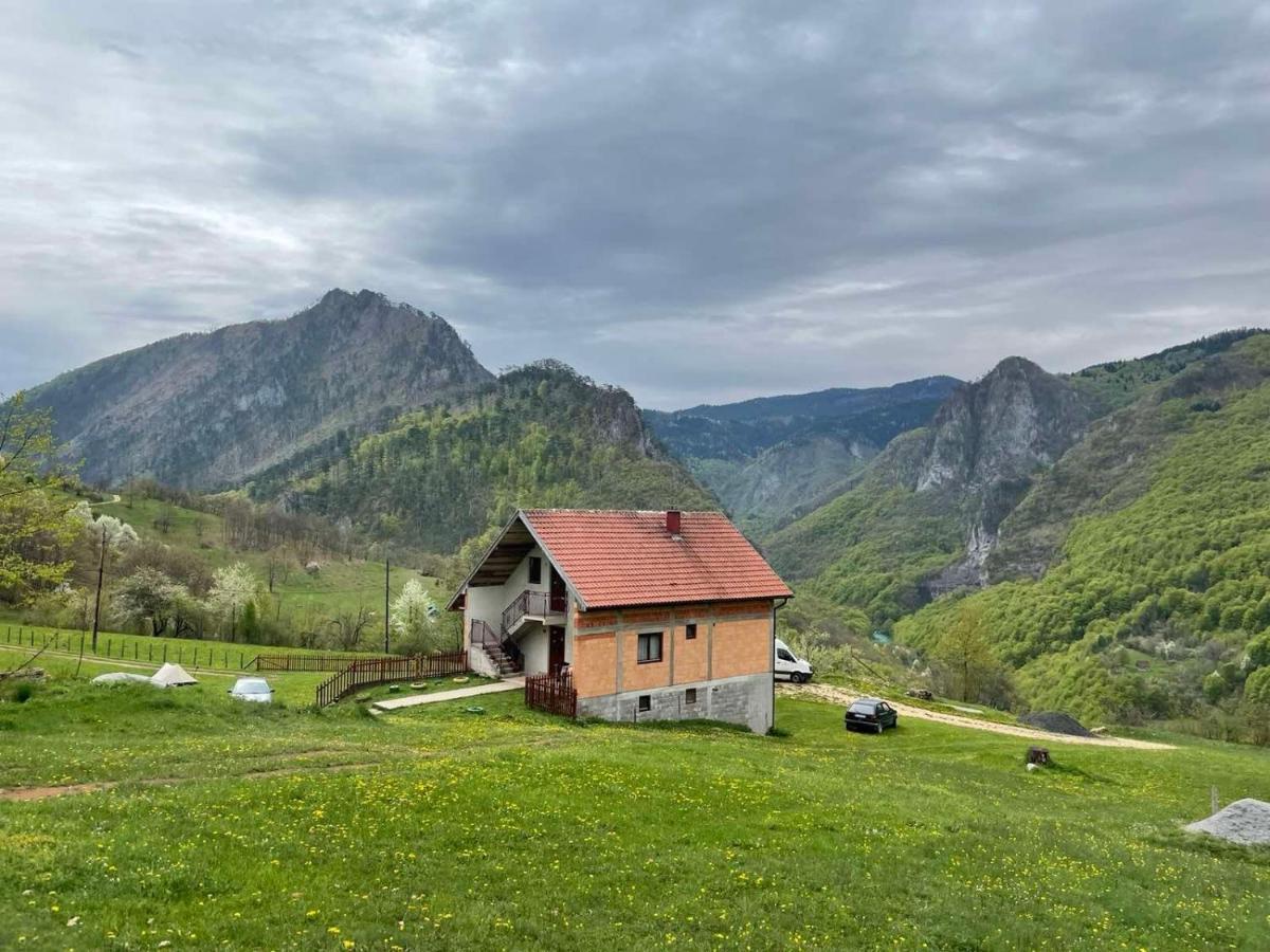 Hotel Family Owned Self Sufficient Eco Farm Tara Pljevlja Esterno foto