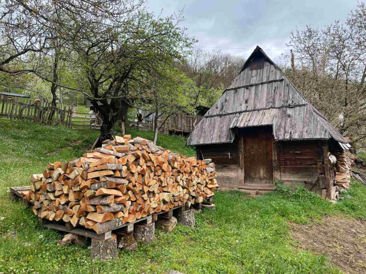 Hotel Family Owned Self Sufficient Eco Farm Tara Pljevlja Esterno foto