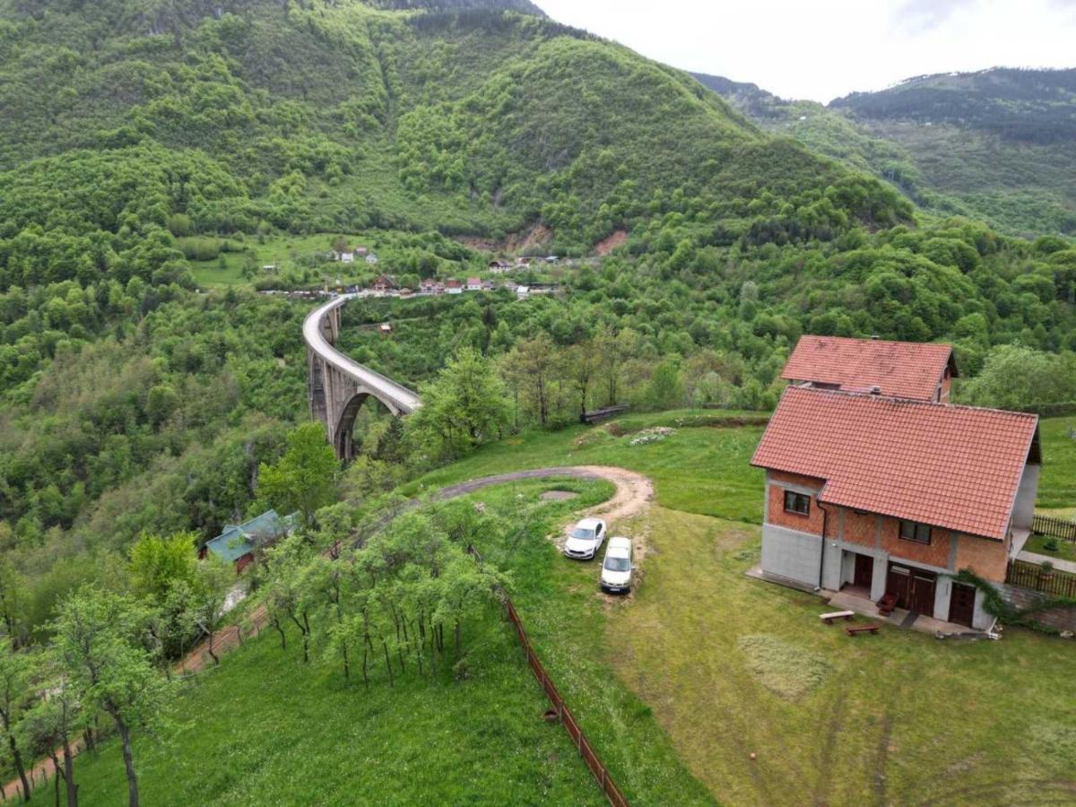 Hotel Family Owned Self Sufficient Eco Farm Tara Pljevlja Esterno foto