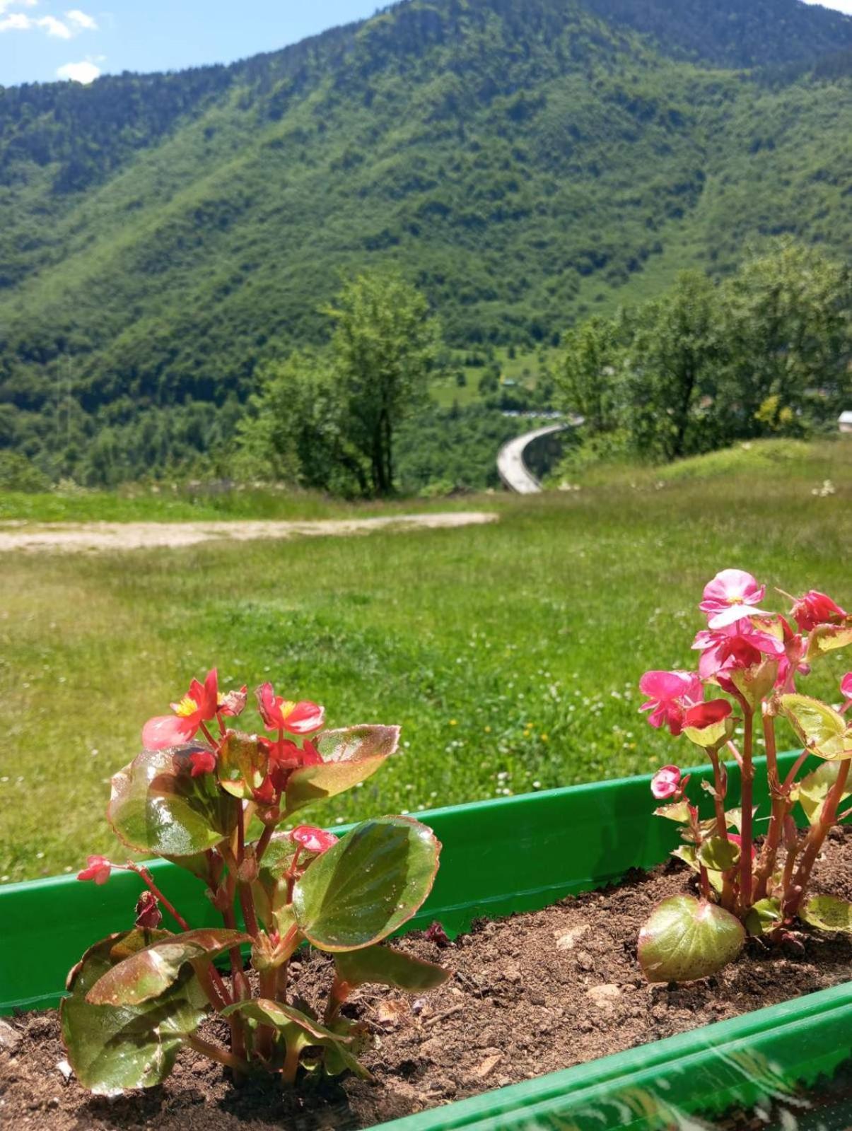 Hotel Family Owned Self Sufficient Eco Farm Tara Pljevlja Esterno foto